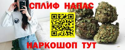 стафф Новодвинск