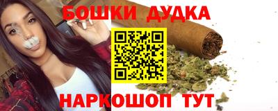 индика Новокубанск