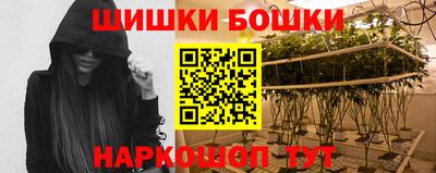 индика Новокубанск