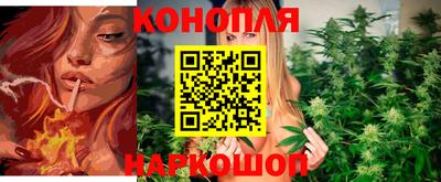 индика Новокубанск