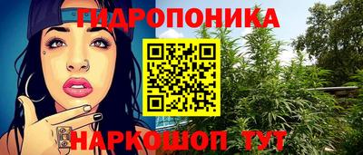 индика Новокубанск