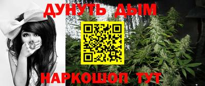 индика Новокубанск
