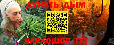 индика Новокубанск