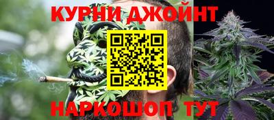 индика Новокубанск